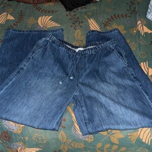 Pacsun Drawstring Wideleg Jean